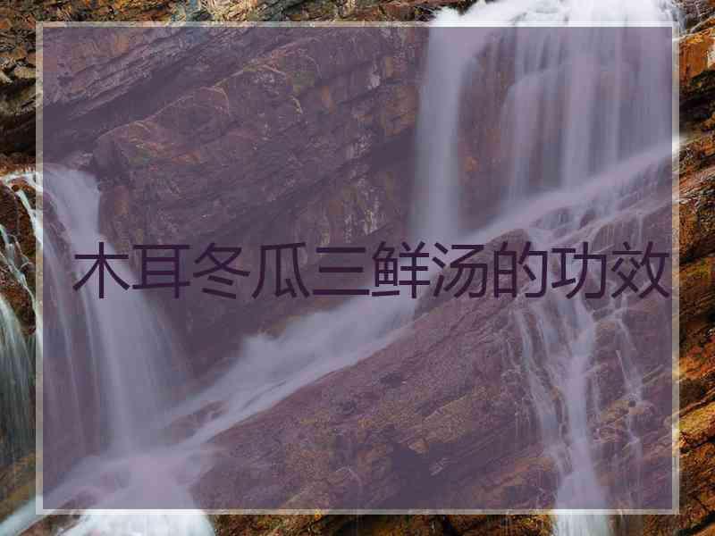 木耳冬瓜三鲜汤的功效