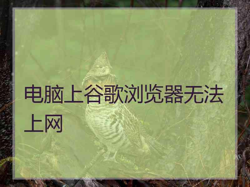 电脑上谷歌浏览器无法上网