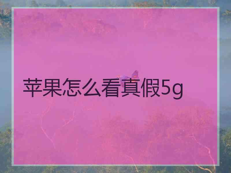 苹果怎么看真假5g
