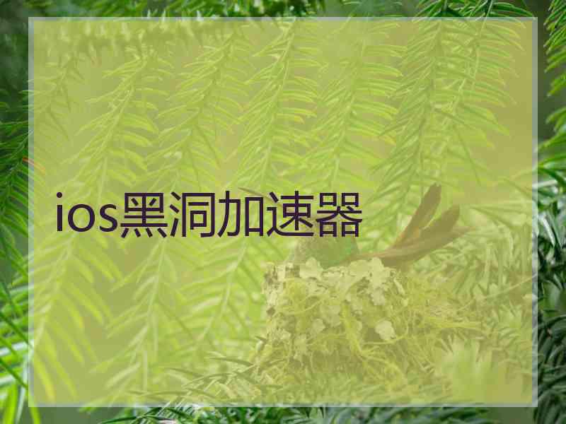 ios黑洞加速器
