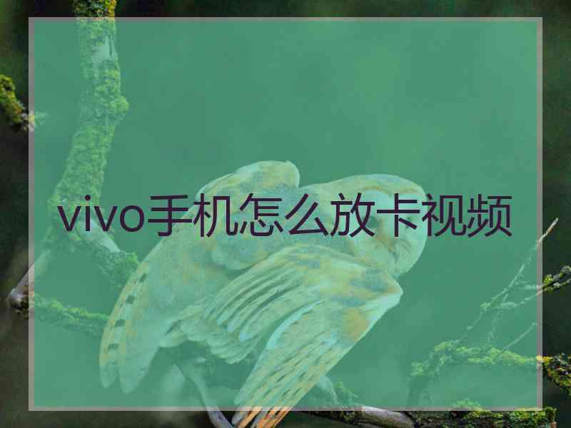 vivo手机怎么放卡视频