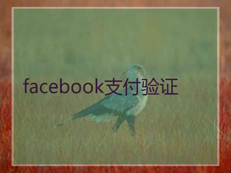 facebook支付验证