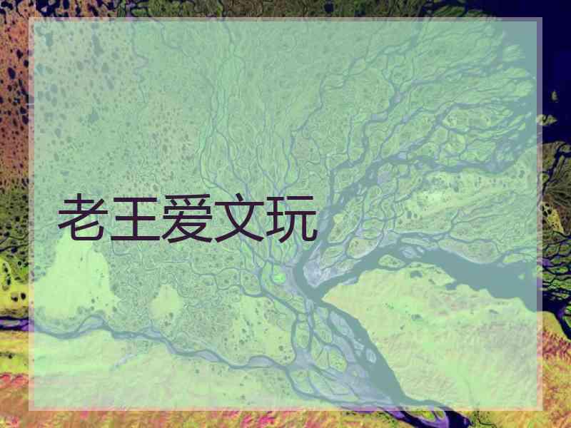 老王爱文玩