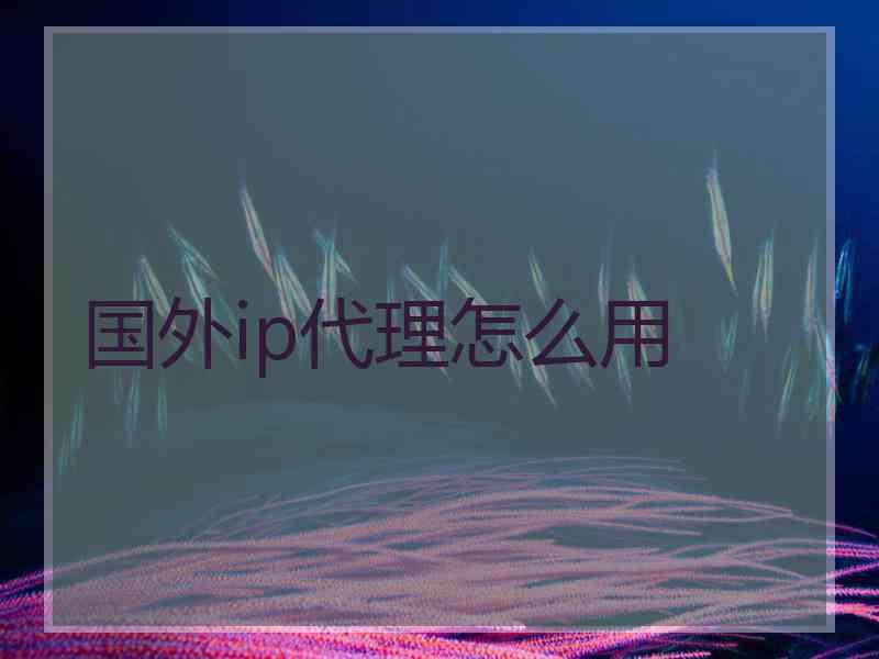 国外ip代理怎么用