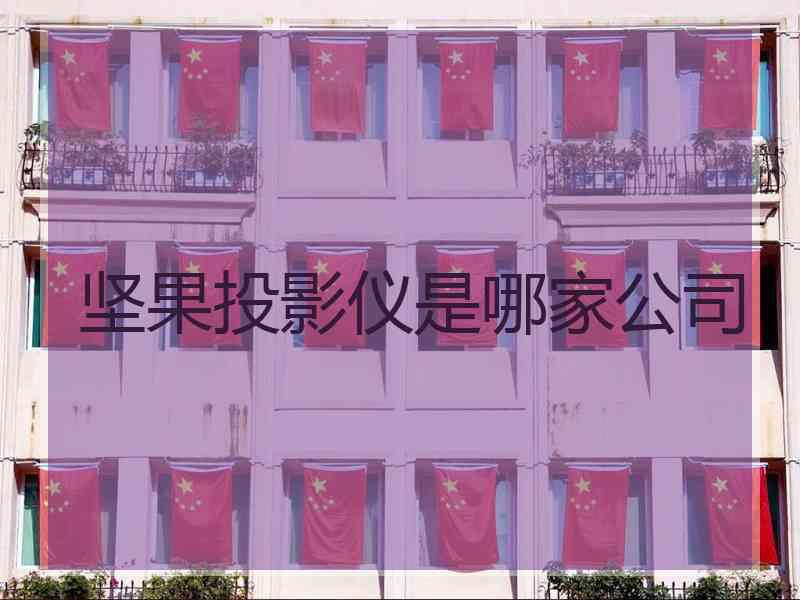 坚果投影仪是哪家公司