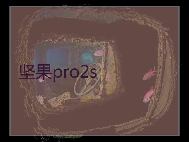坚果pro2s