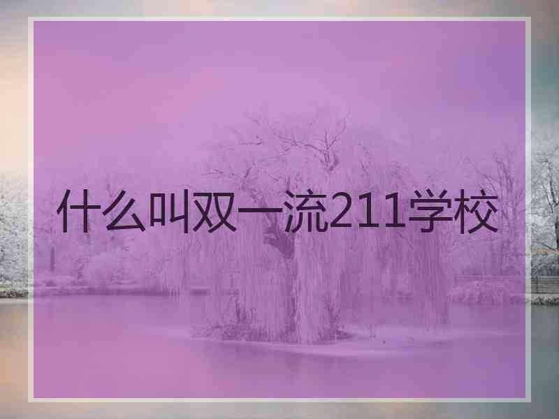 什么叫双一流211学校