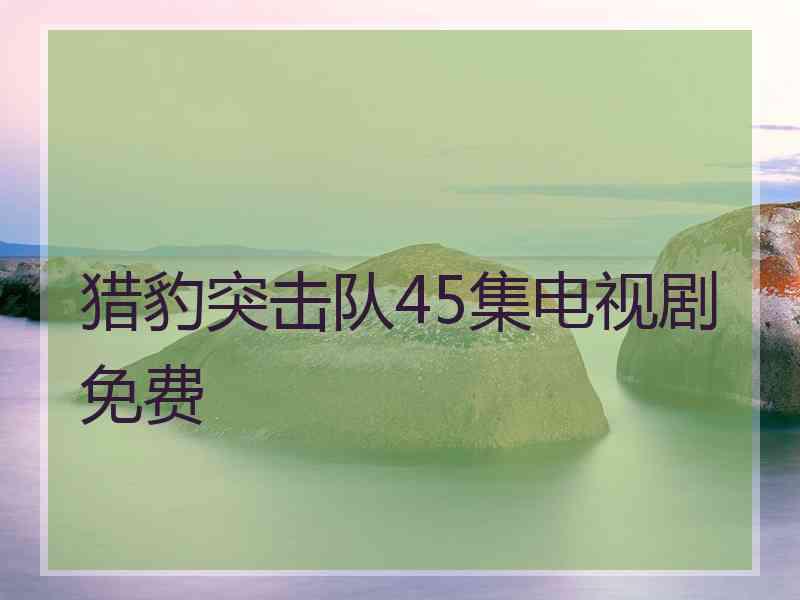 猎豹突击队45集电视剧免费