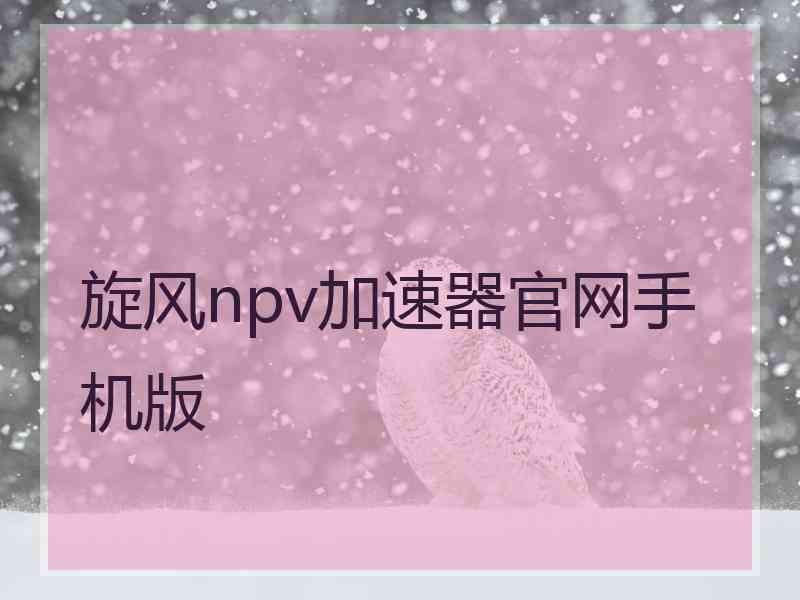 旋风npv加速器官网手机版
