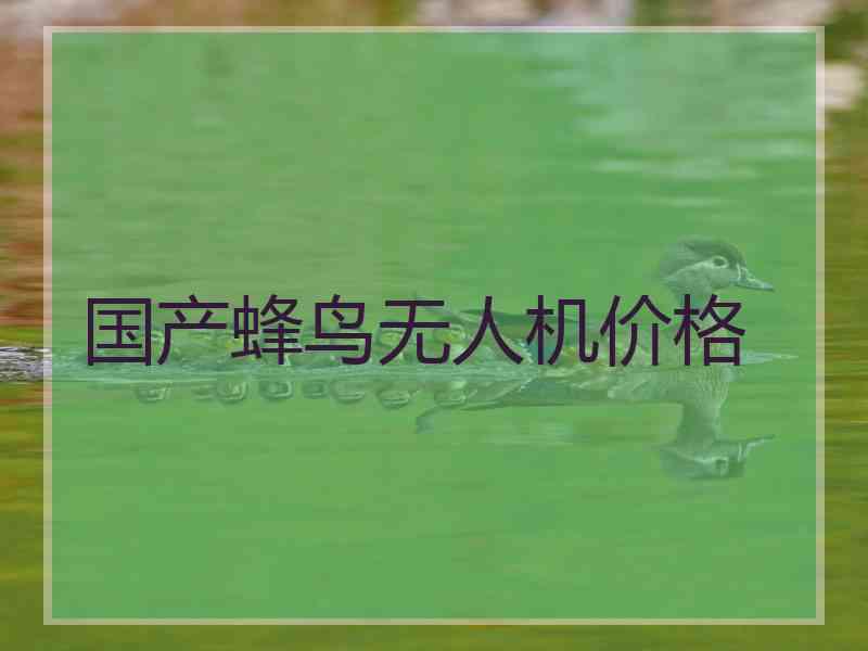 国产蜂鸟无人机价格