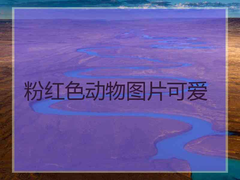 粉红色动物图片可爱