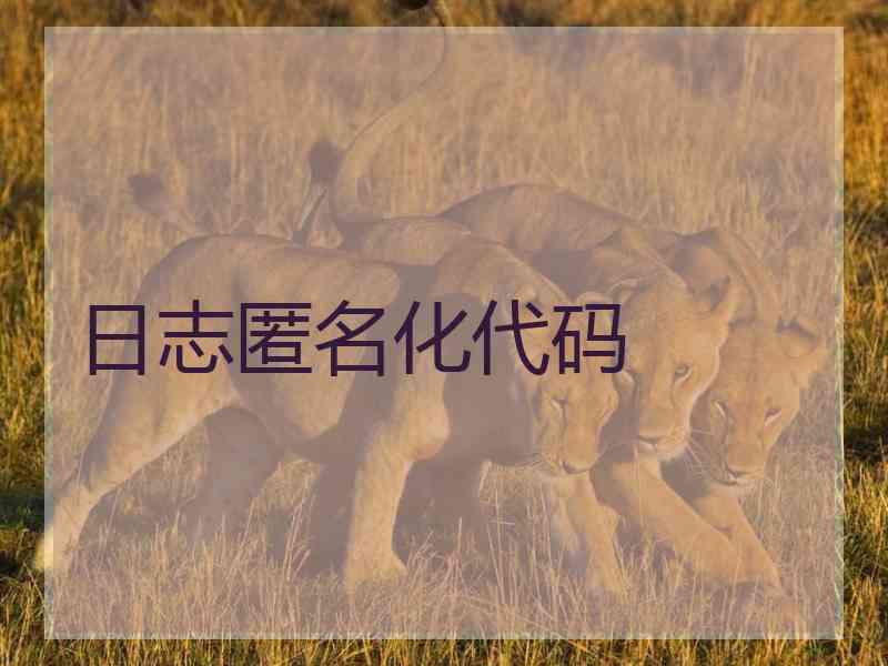 日志匿名化代码