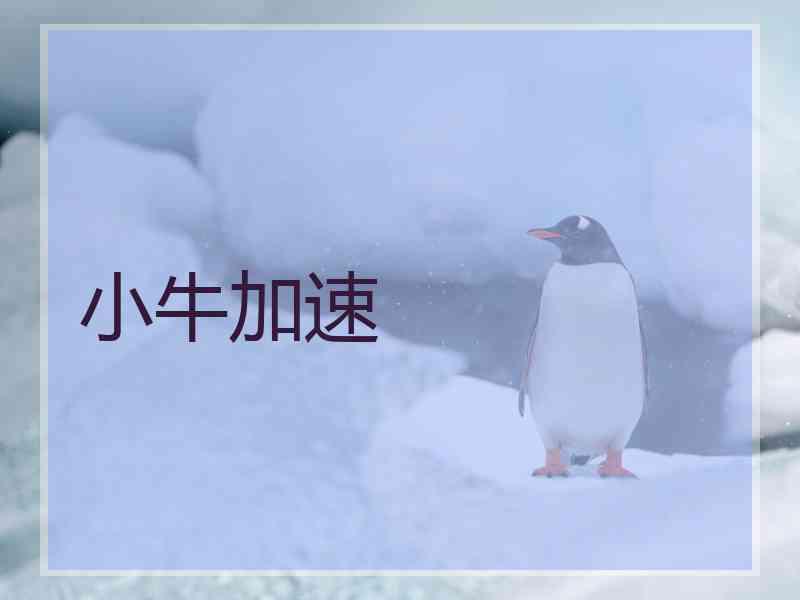 小牛加速