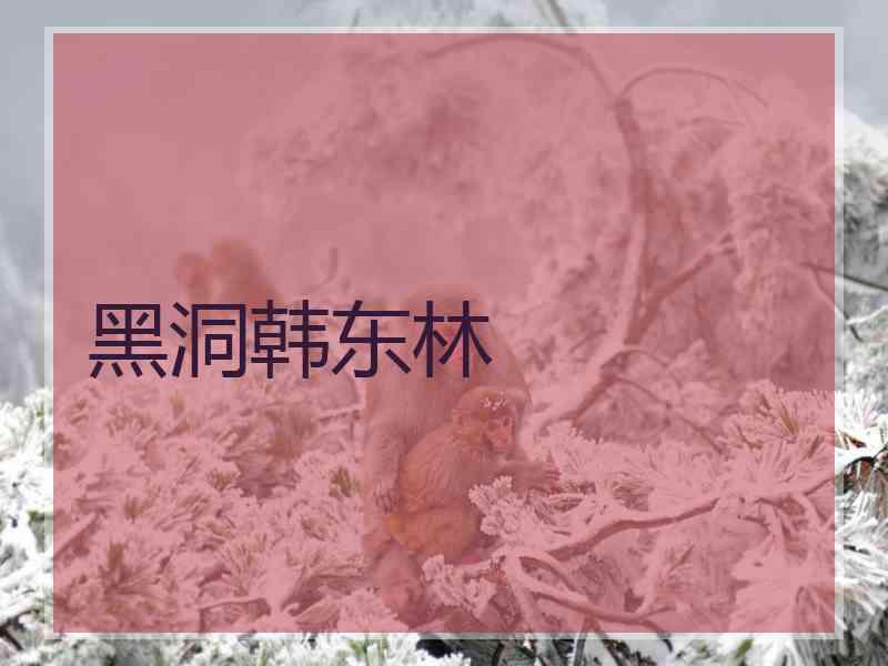 黑洞韩东林
