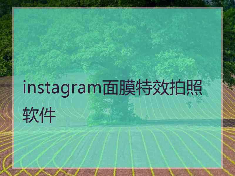 instagram面膜特效拍照软件