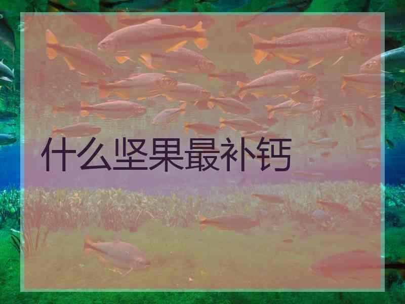什么坚果最补钙