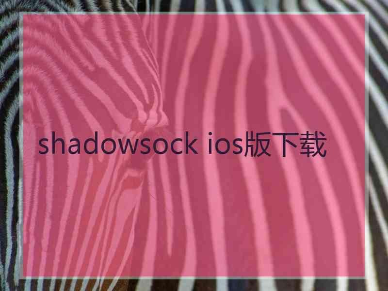 shadowsock ios版下载