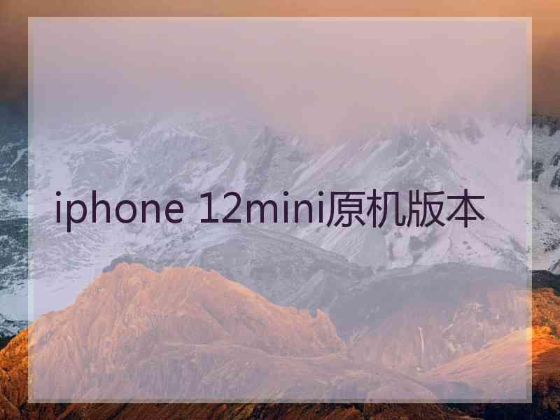 iphone 12mini原机版本