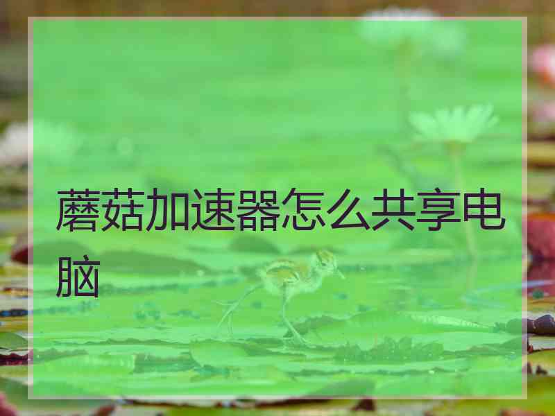 蘑菇加速器怎么共享电脑