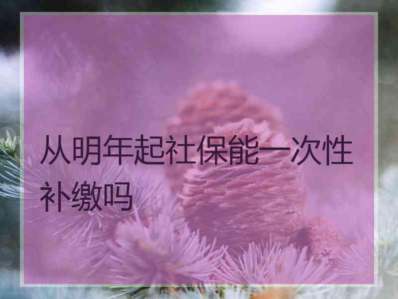 从明年起社保能一次性补缴吗