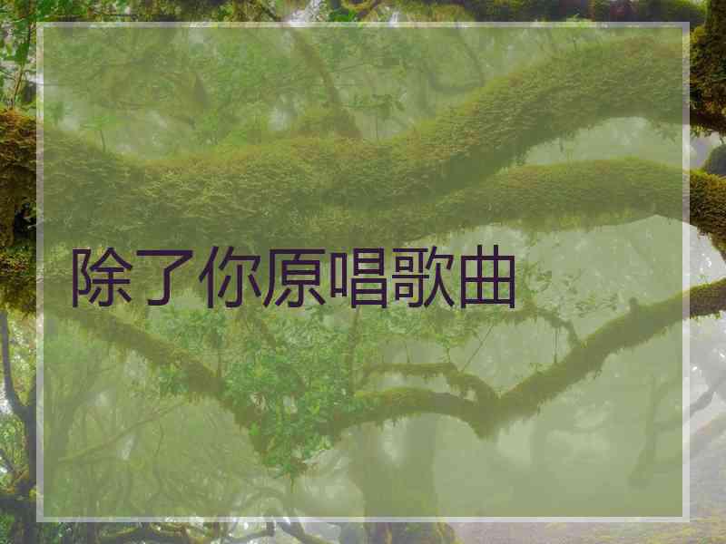 除了你原唱歌曲