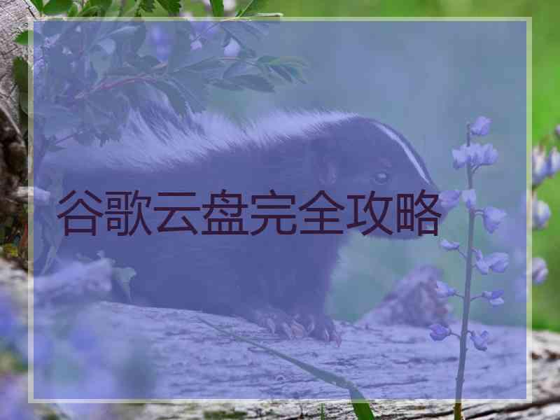 谷歌云盘完全攻略