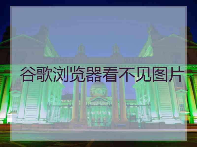 谷歌浏览器看不见图片