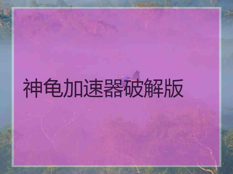神龟加速器破解版