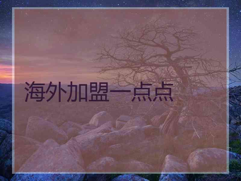 海外加盟一点点
