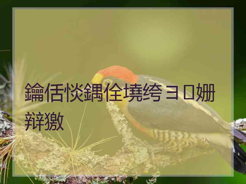 鑰佸惔鍝佺墝绔ヨ姗辩獥