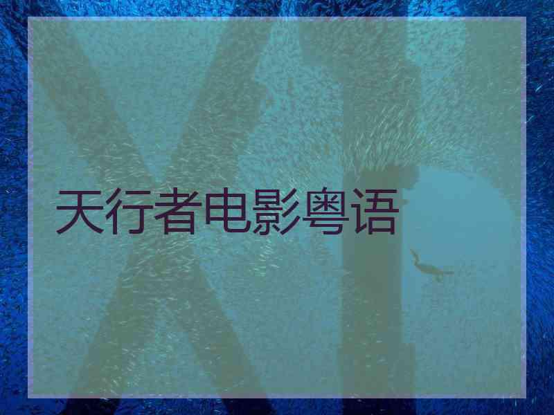 天行者电影粤语