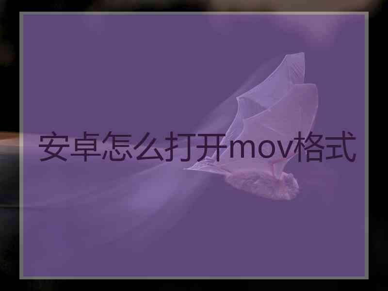 安卓怎么打开mov格式