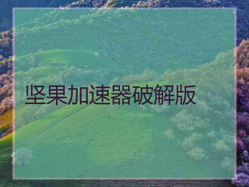 坚果加速器破解版
