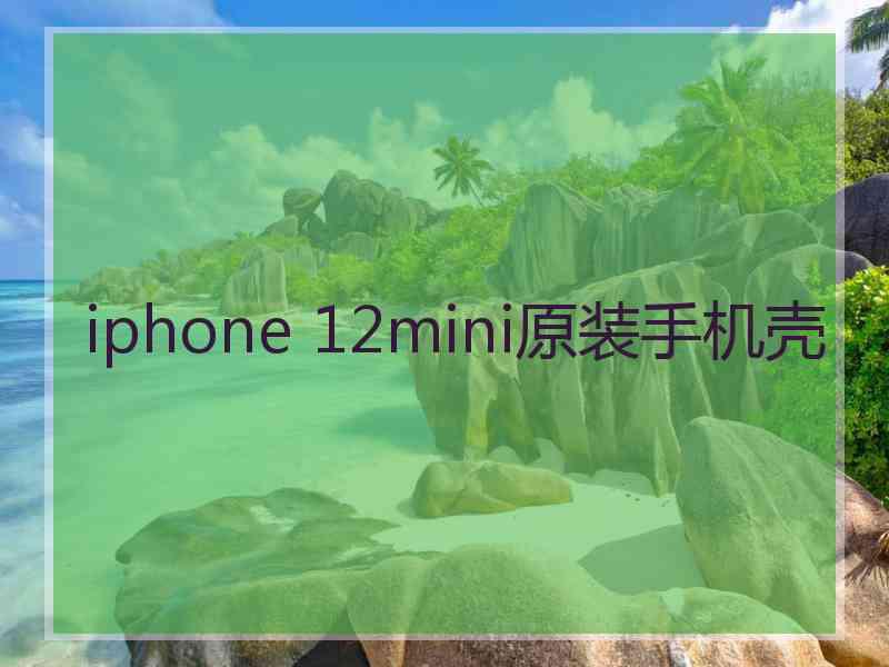 iphone 12mini原装手机壳