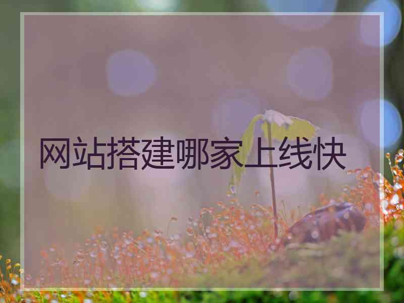 网站搭建哪家上线快