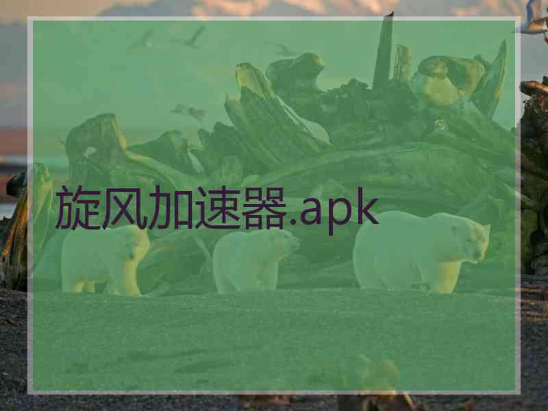 旋风加速器.apk