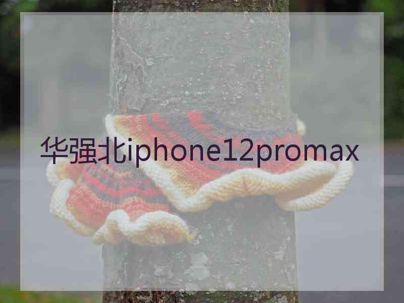 华强北iphone12promax