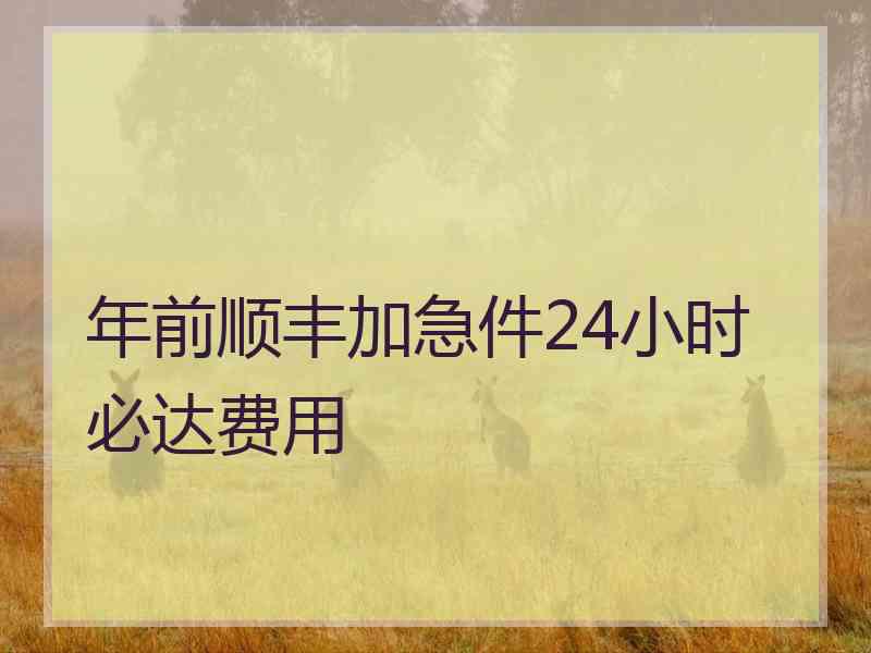 年前顺丰加急件24小时必达费用