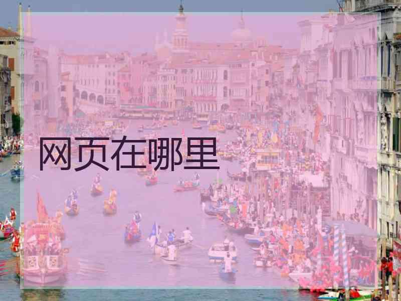 网页在哪里