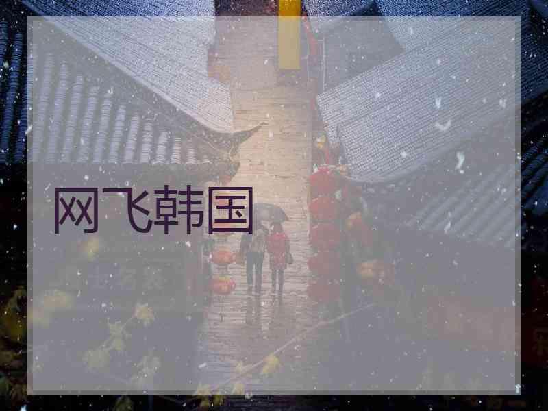 网飞韩国