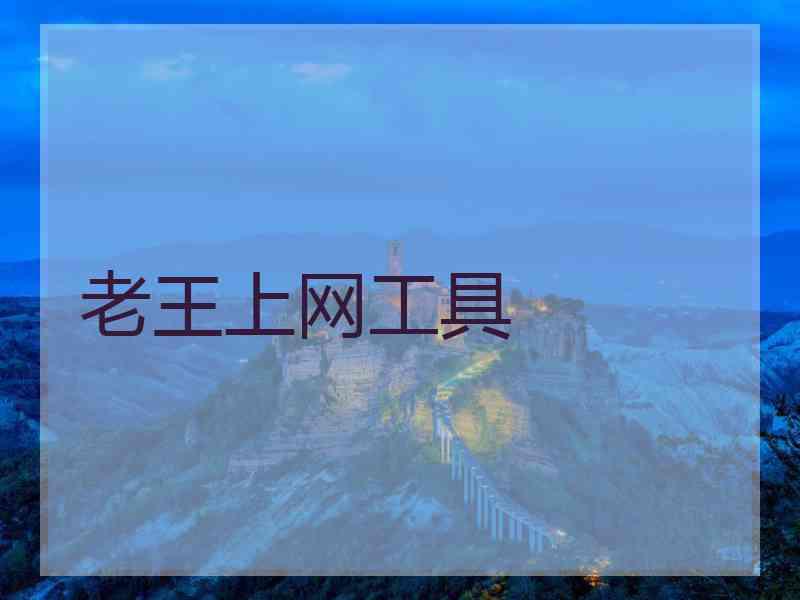 老王上网工具