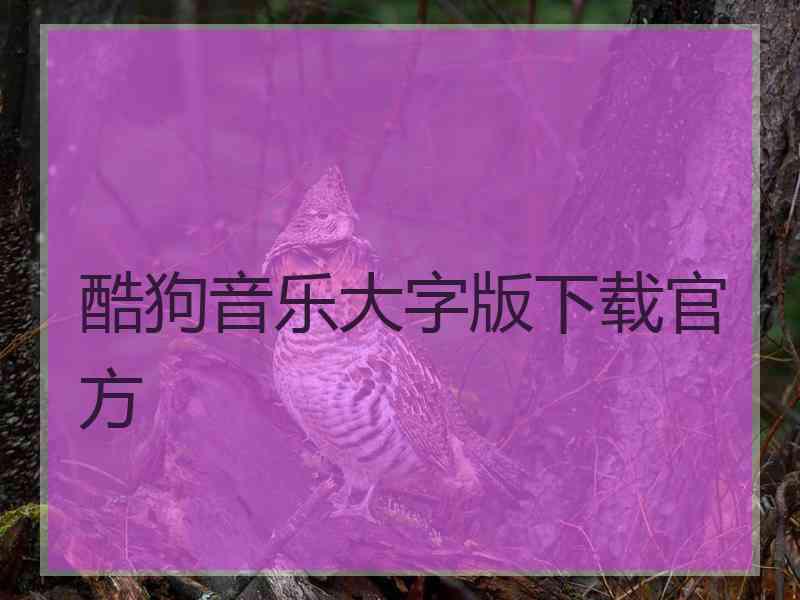酷狗音乐大字版下载官方