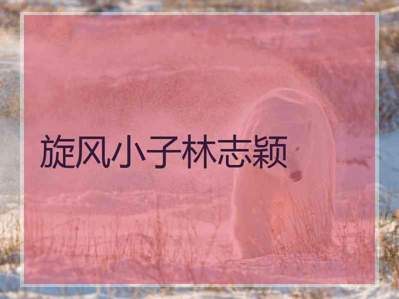 旋风小子林志颖