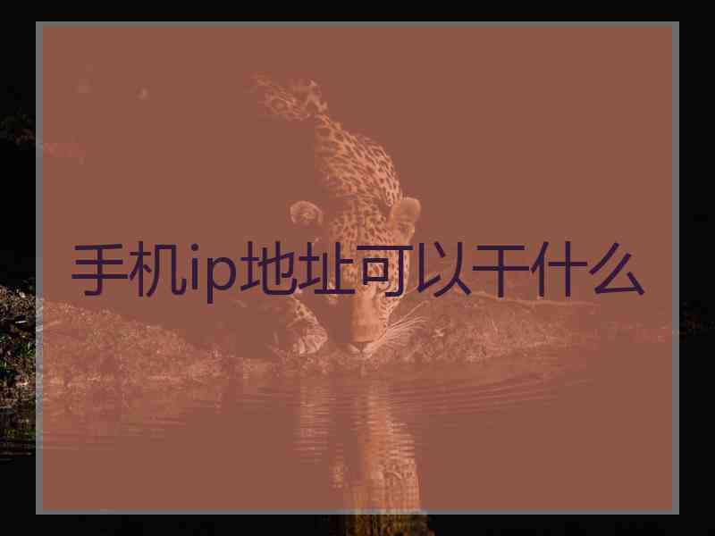手机ip地址可以干什么