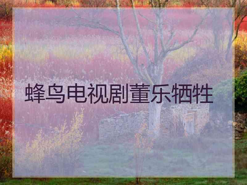 蜂鸟电视剧董乐牺牲