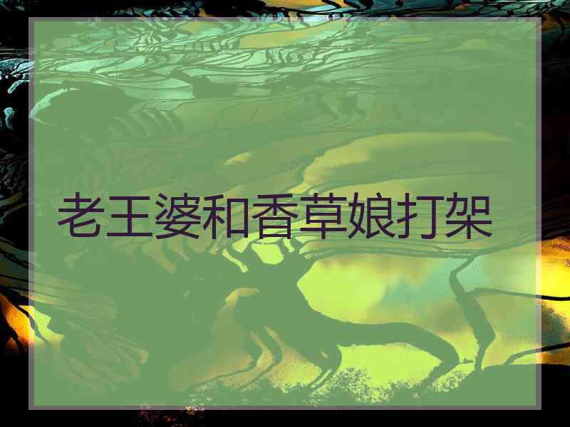 老王婆和香草娘打架