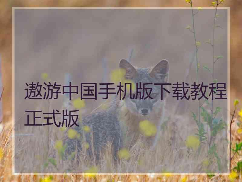 遨游中国手机版下载教程正式版
