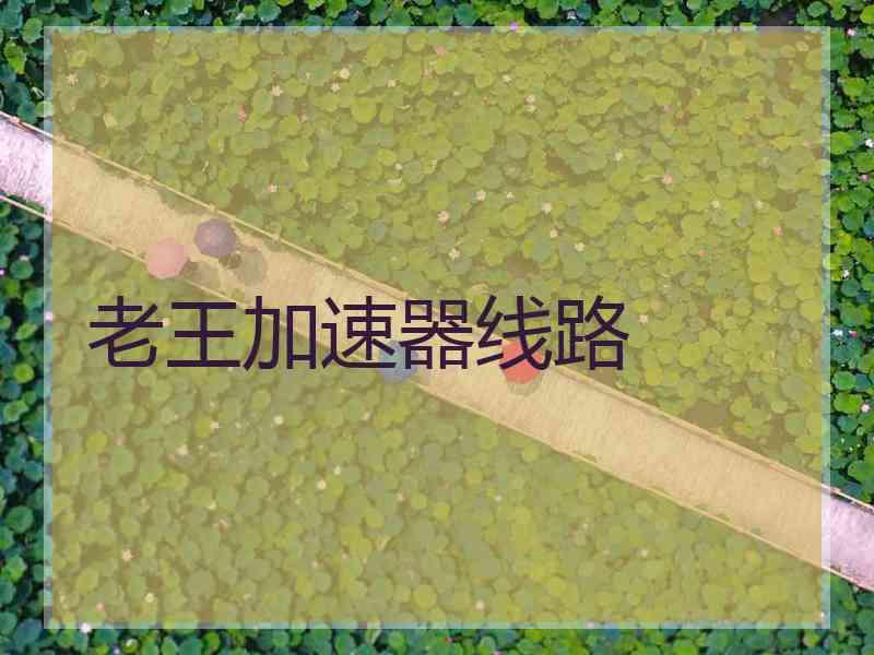 老王加速器线路