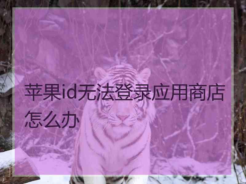 苹果id无法登录应用商店怎么办