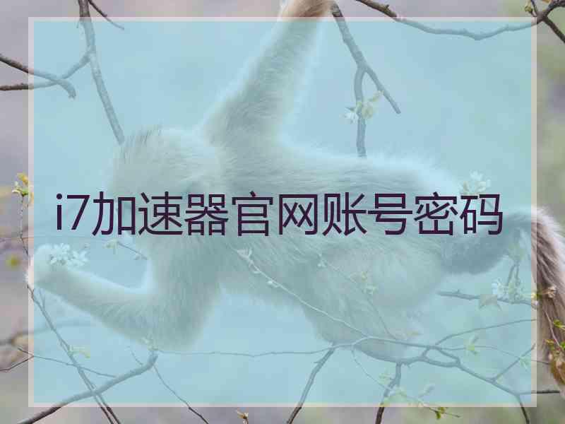 i7加速器官网账号密码